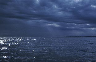 OudWeb-reeks ODYSEE OudWeb-reeks ODYSEE